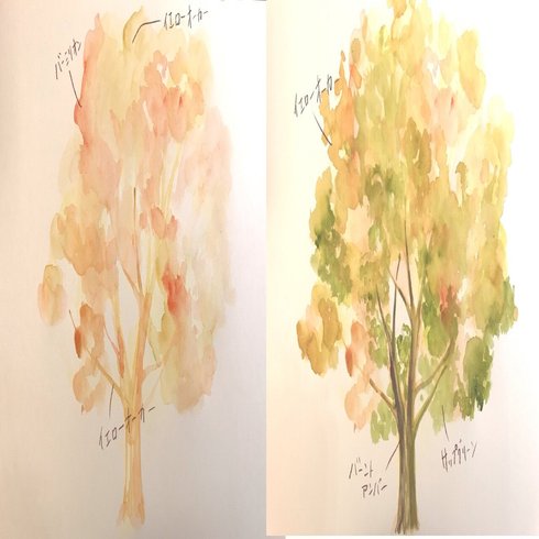 水彩イラスト】秋の樹木を描いてみる｜日端奈奈子