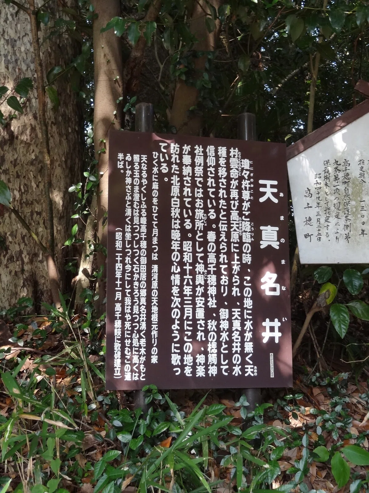 画像14