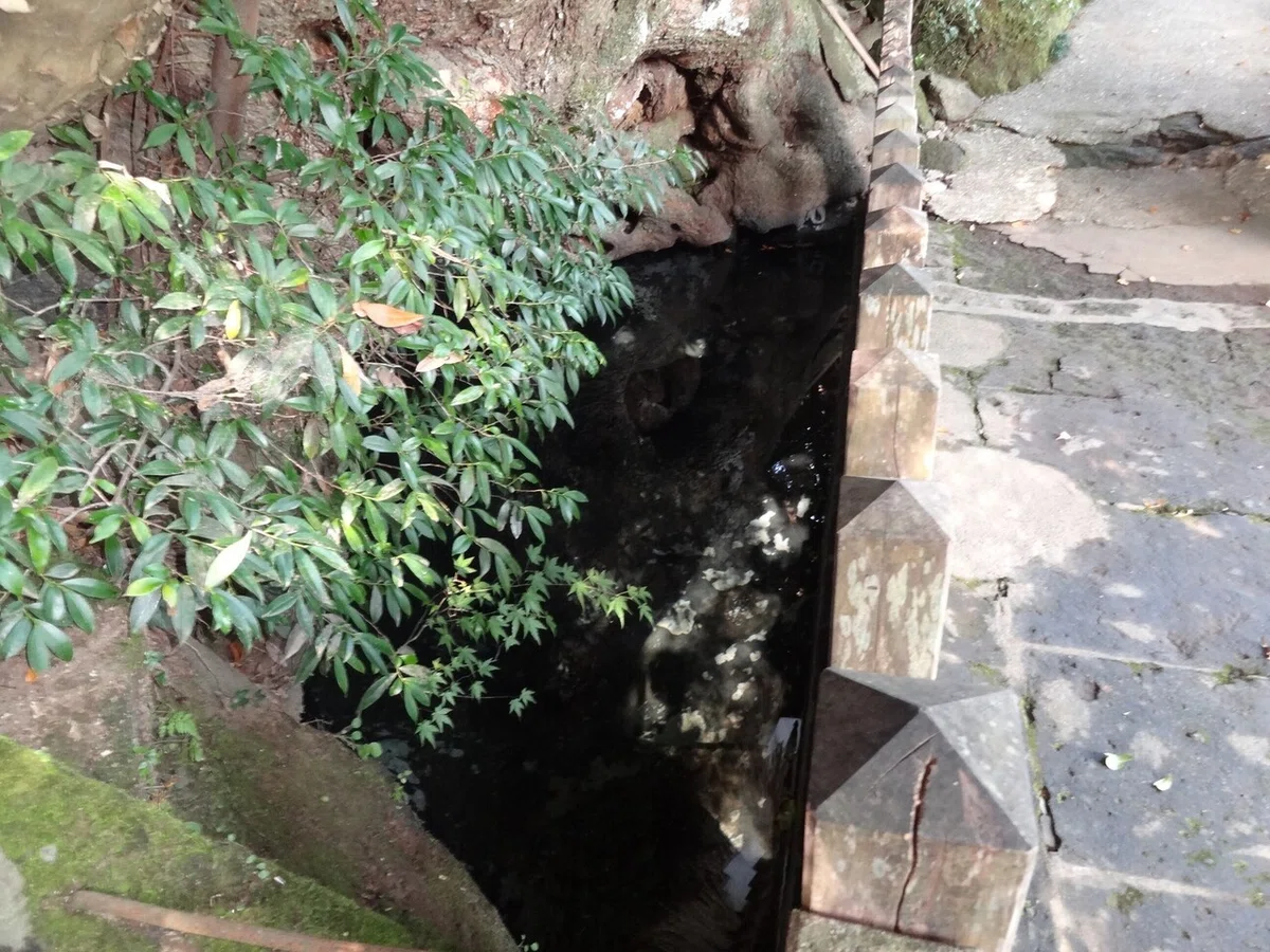 画像16