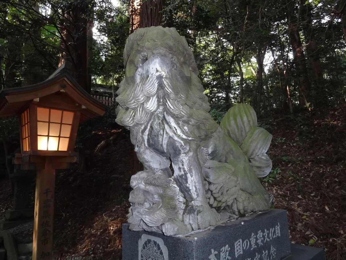 画像4