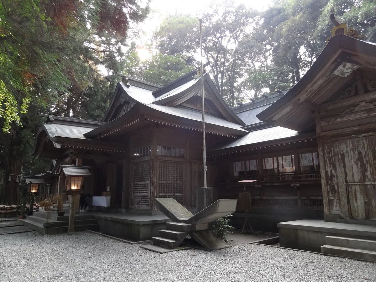 画像7