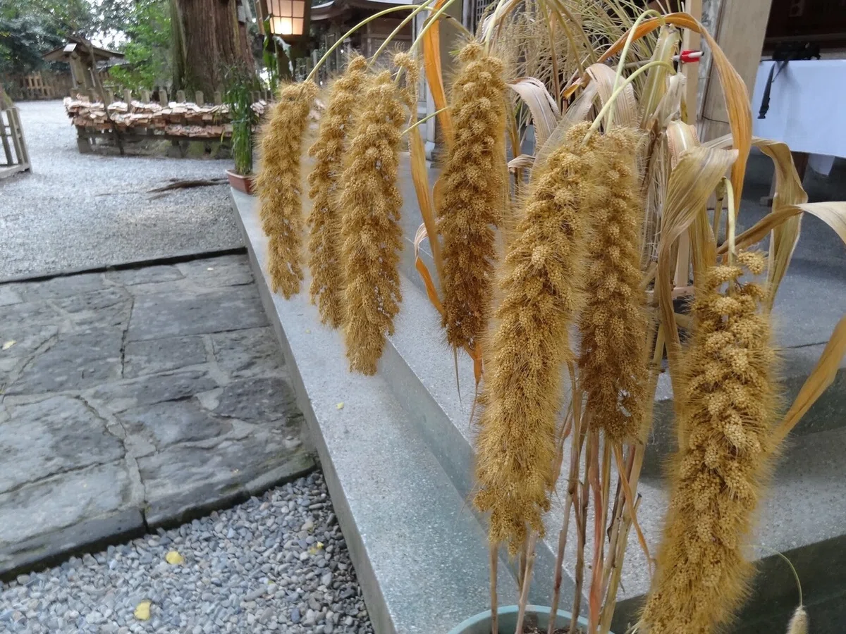 画像8
