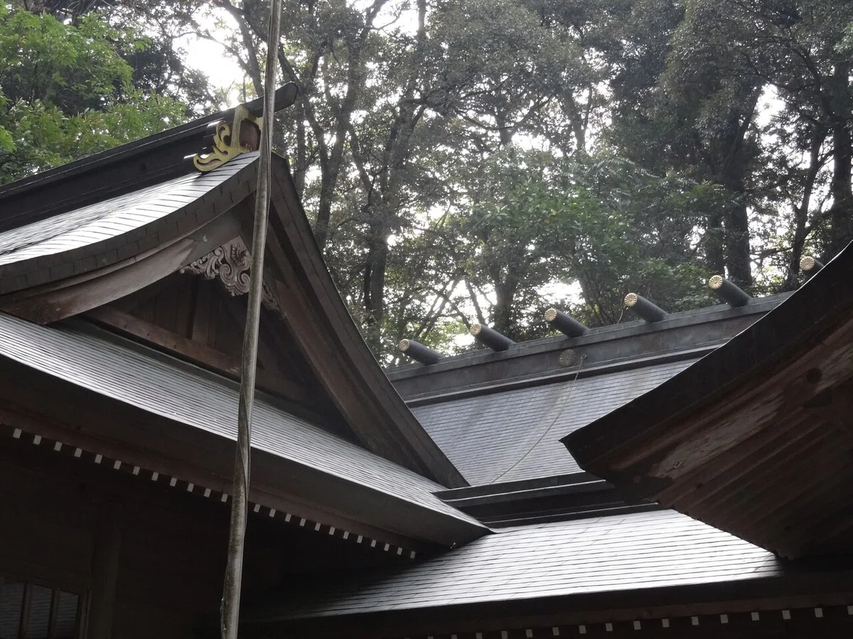 画像11
