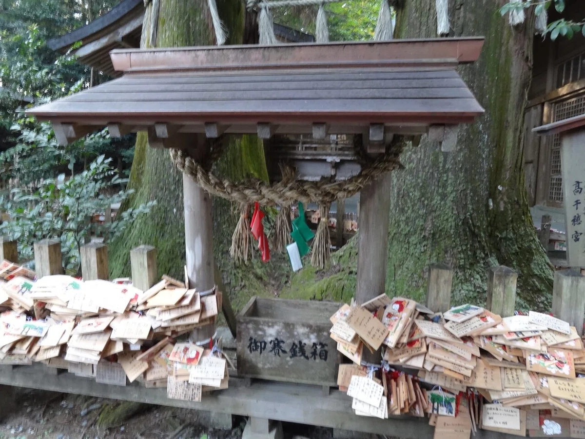 画像15