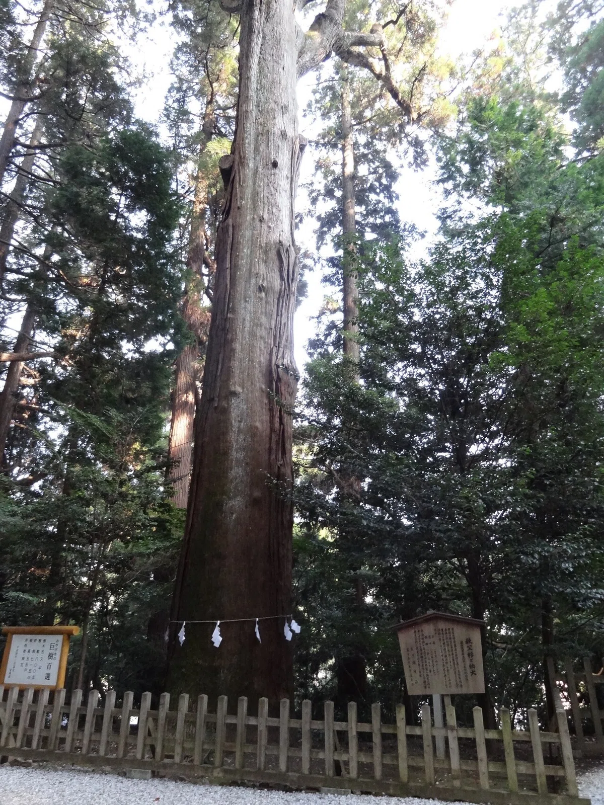画像16