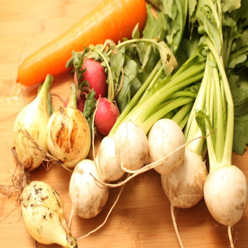 野菜の薄味マリネ 樋口直哉 Travelingfoodlab Note