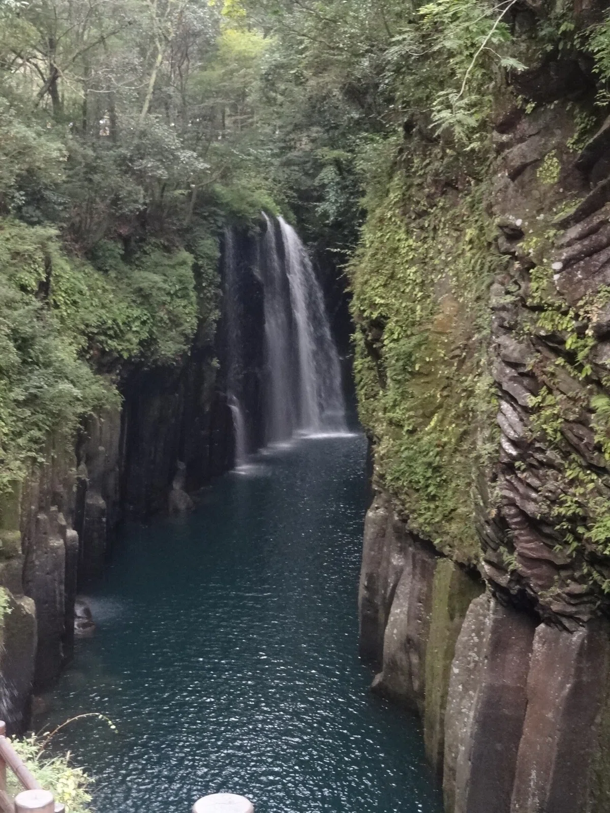 画像31