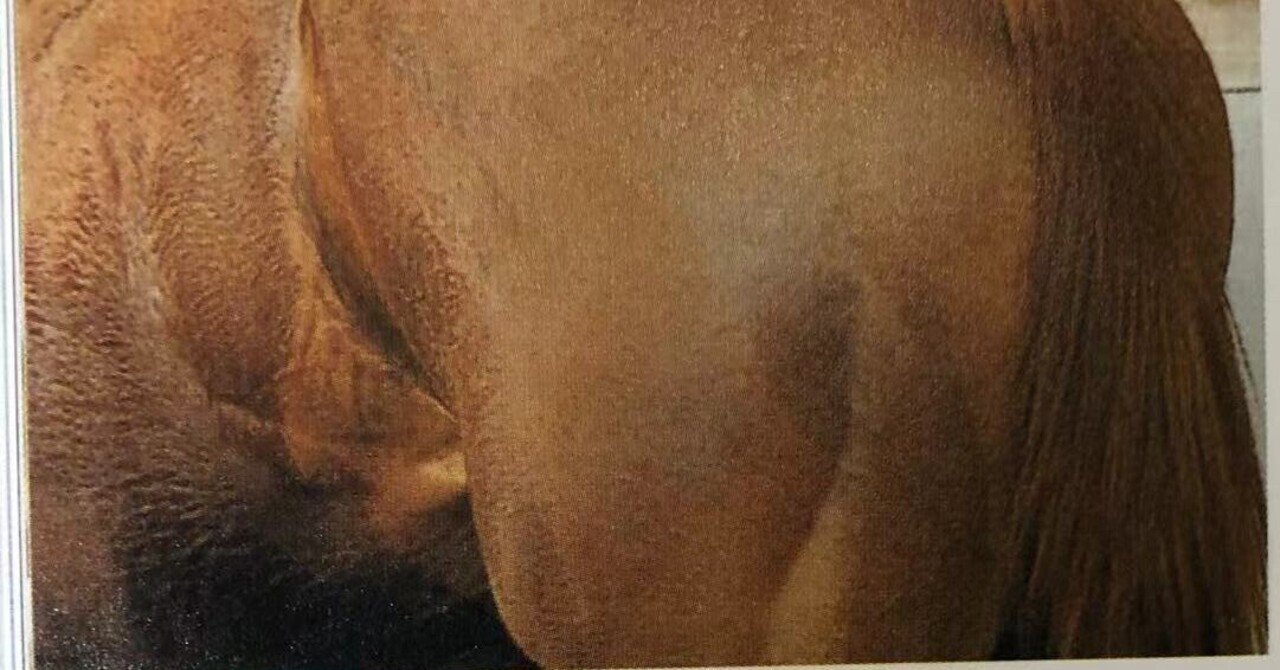 戸山為夫「鍛えて最強馬をつくる」を読んだ。｜稲庭うどん