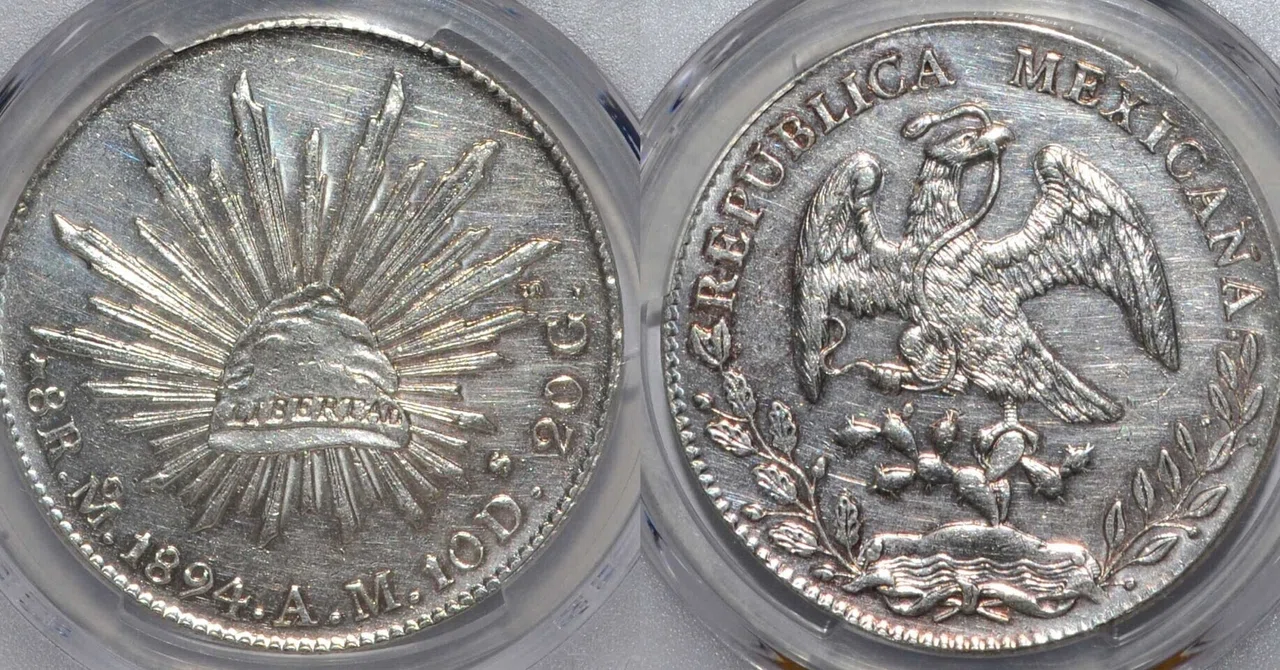 アンティークコインの世界｜メキシコ8レアル銀貨とスラブのおはなし 