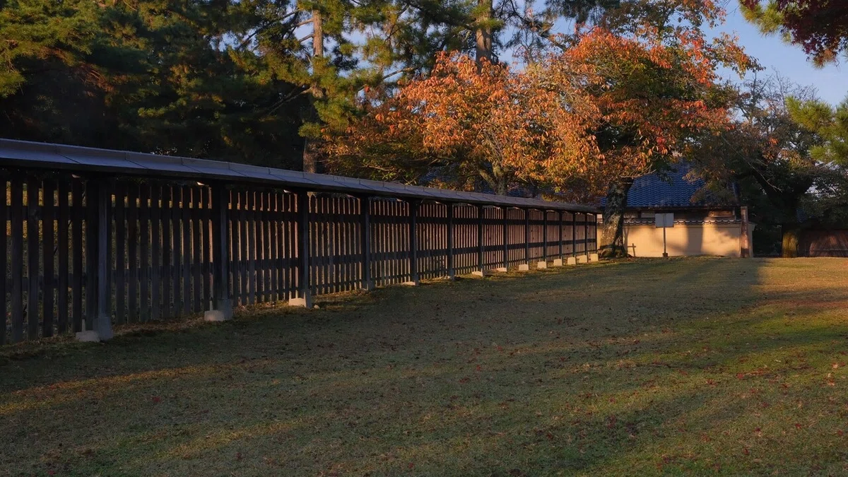 画像10