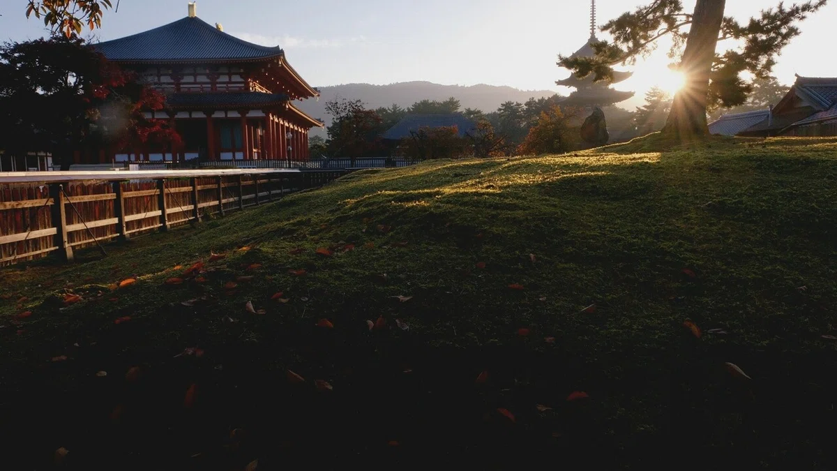 画像12