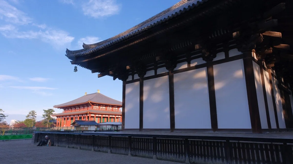 画像14