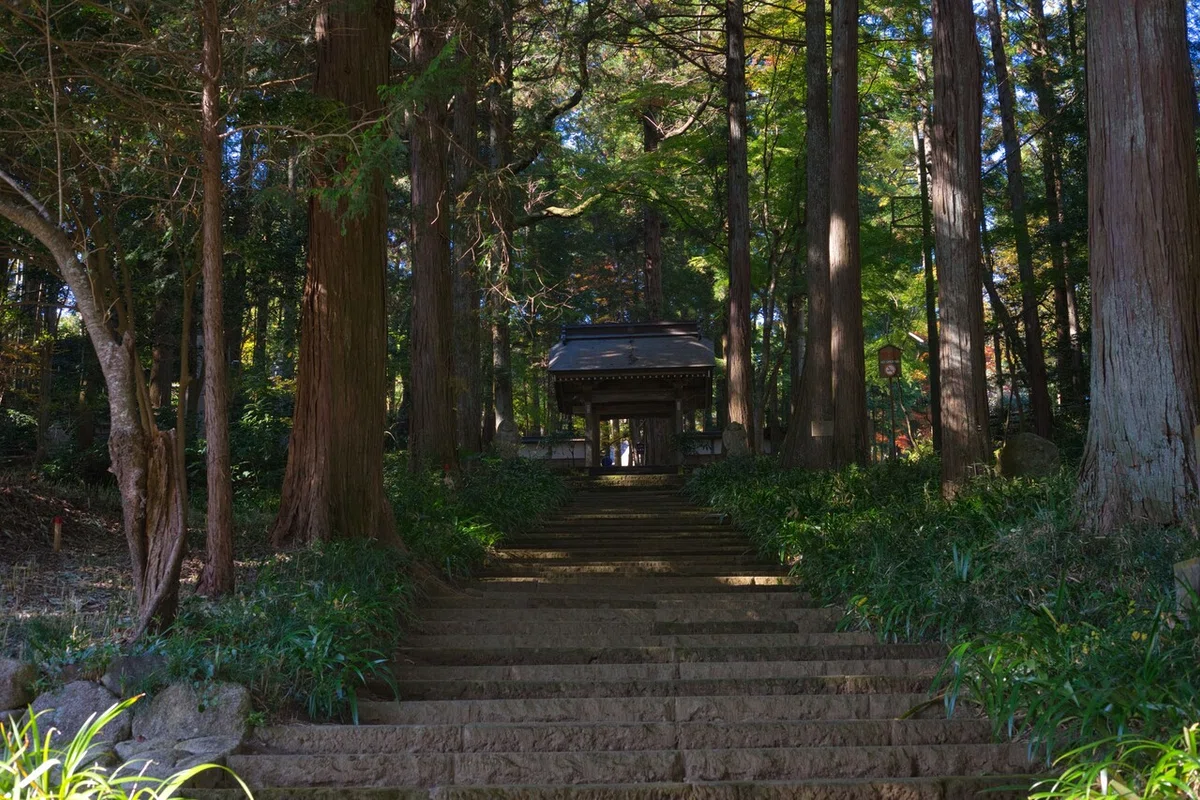 画像9