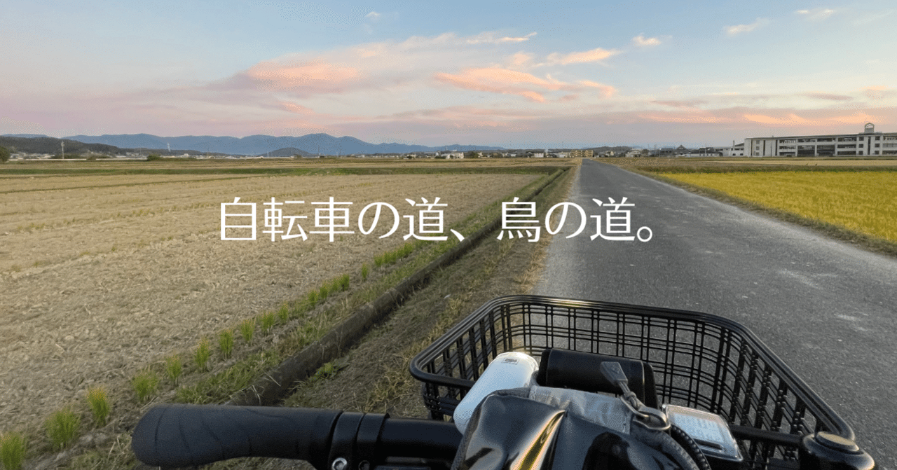 自転車の道、鳥の道。｜ビワコヨミガエル｜note
