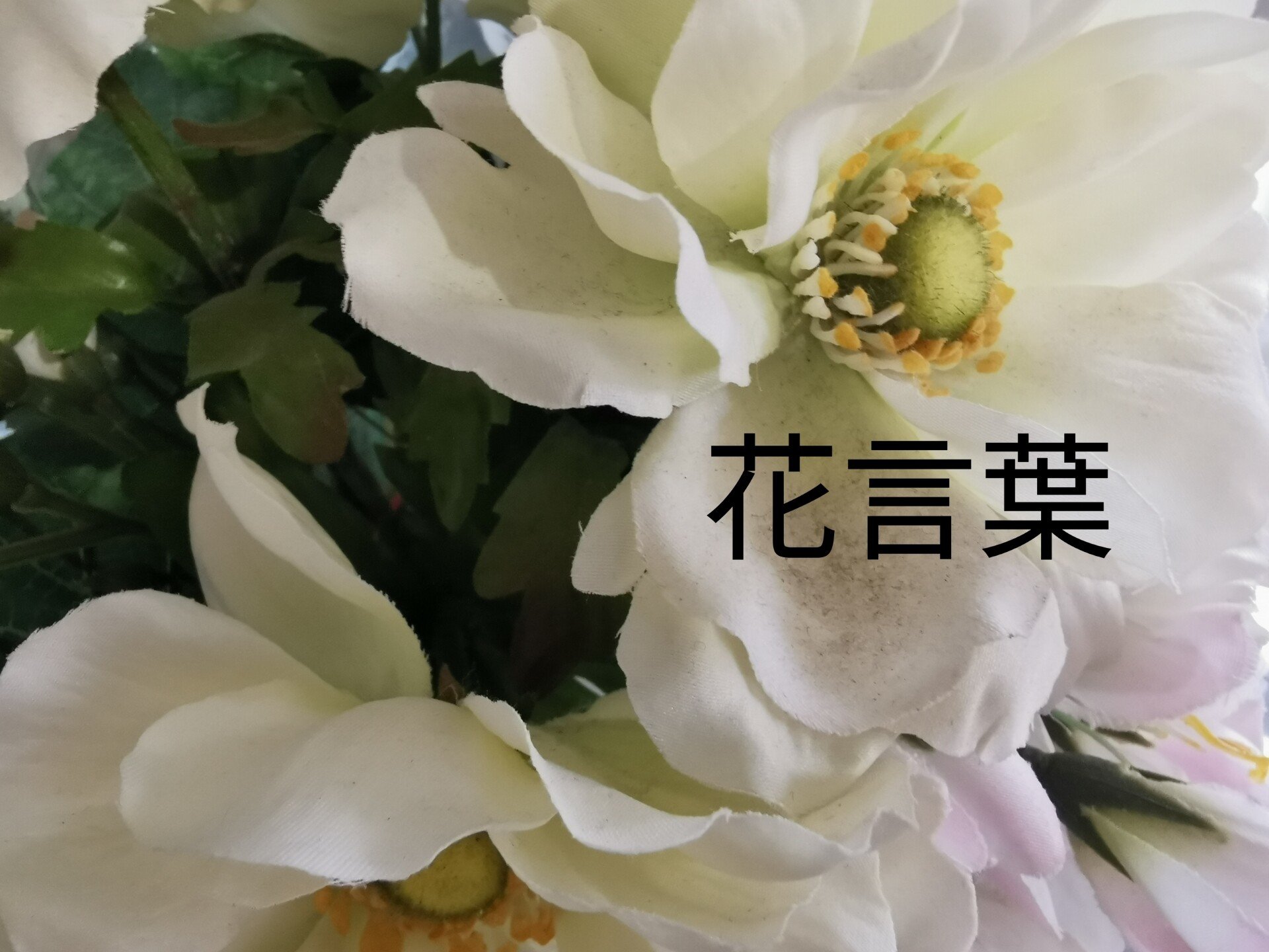 みっちゃんと言うダリア 石川 味季 花 装飾 いけばな企業研修 企業エントランス Note