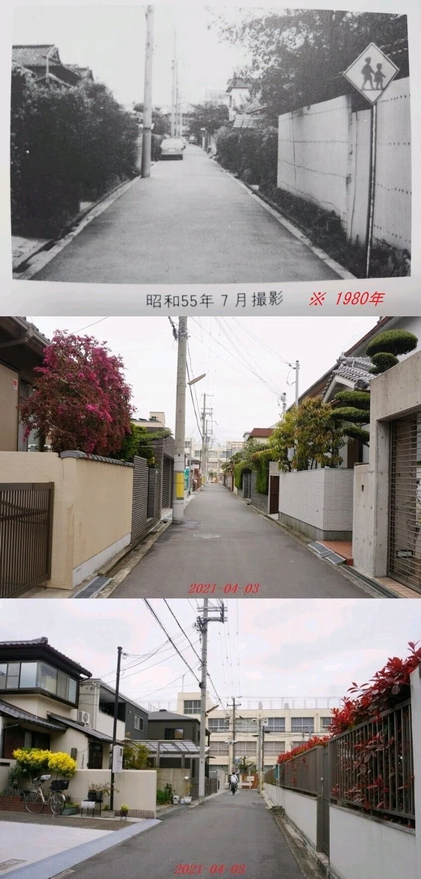 ★墨③dd