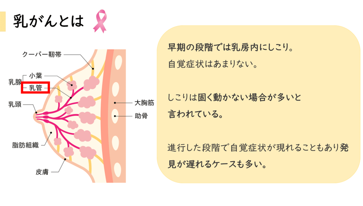 スクリーンショット&amp;nbsp;(12)