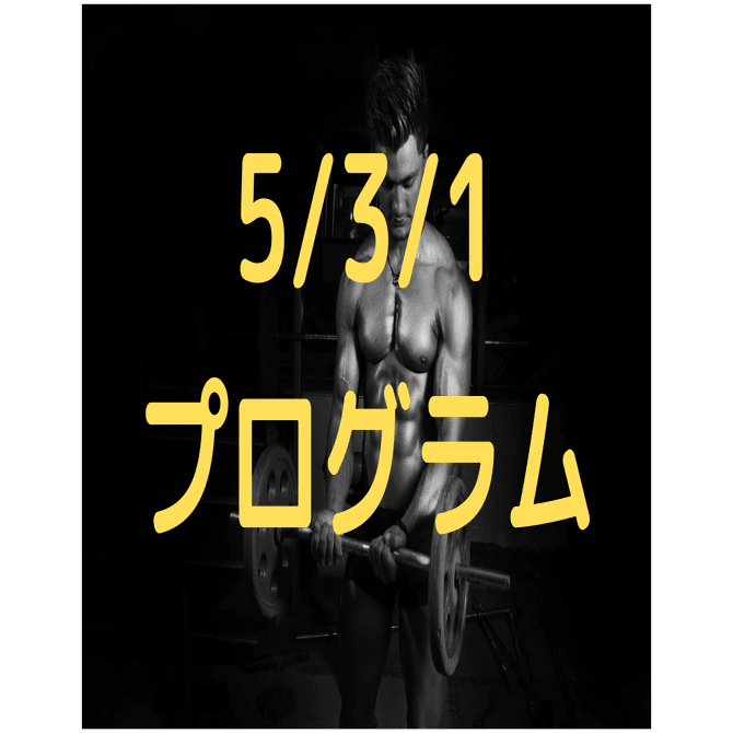 5/3/1プログラムの説明とトレーニングスプレッドシート｜僕のオススメ