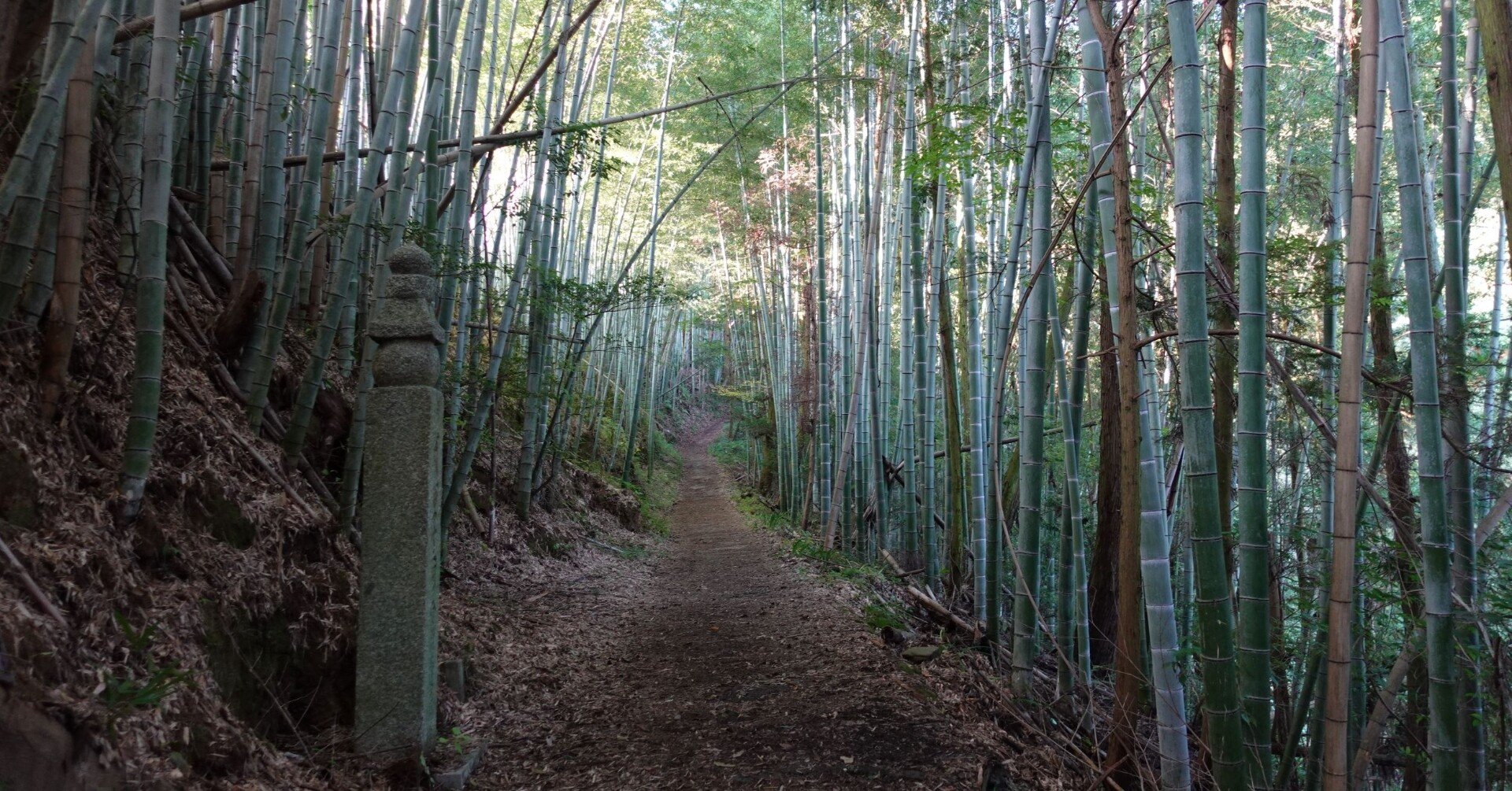 世界遺産・高野山を登ってきた。～町石道ハイク【中編】（上級者向け
