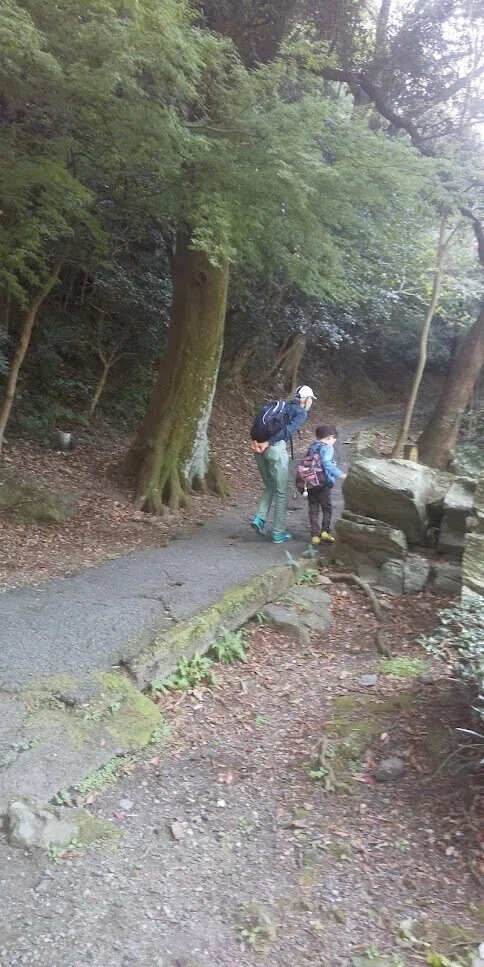 画像19