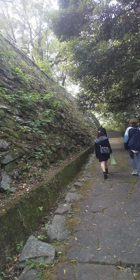画像20