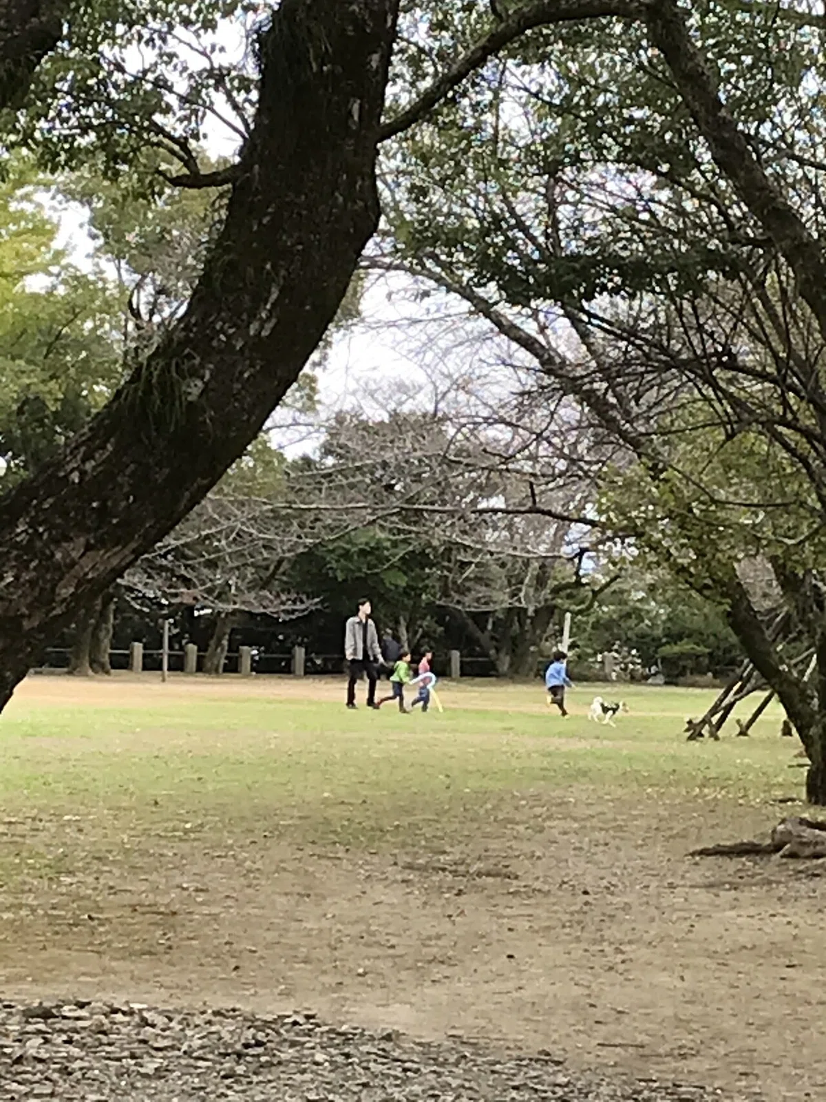 写真 2021-11-06 13 25 24