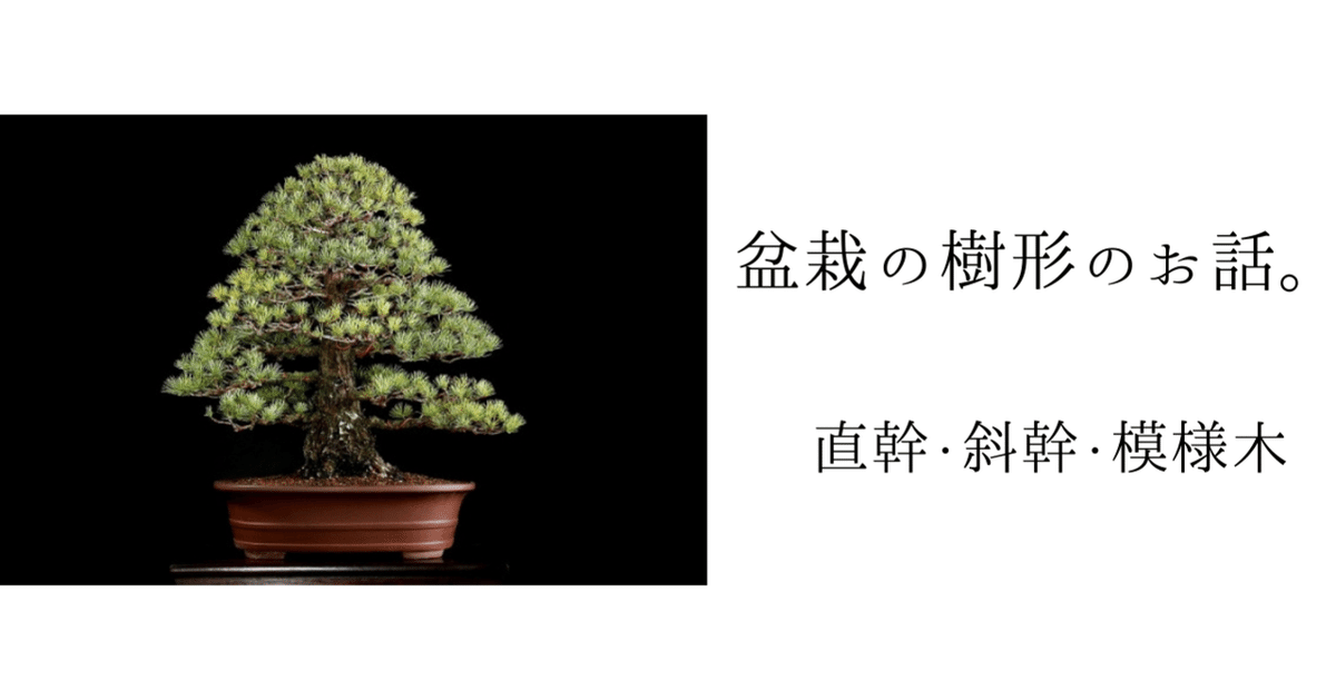 盆栽　基本樹形　樹形の図説 How to make a tree shape(Part1) [Bonsai Basic Edition/2-3