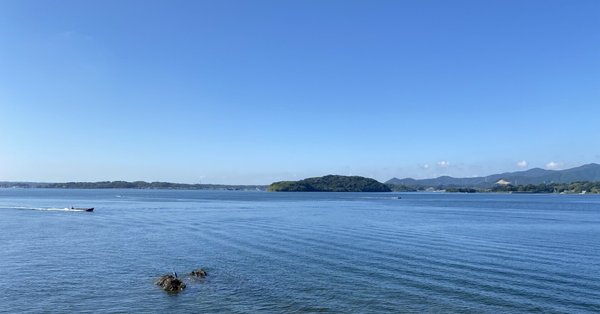 侵害予防調査と無効資料調査のノウハウ 侵害予防調査と無効資料調査のノウハウ (現代産業選書 知的財産