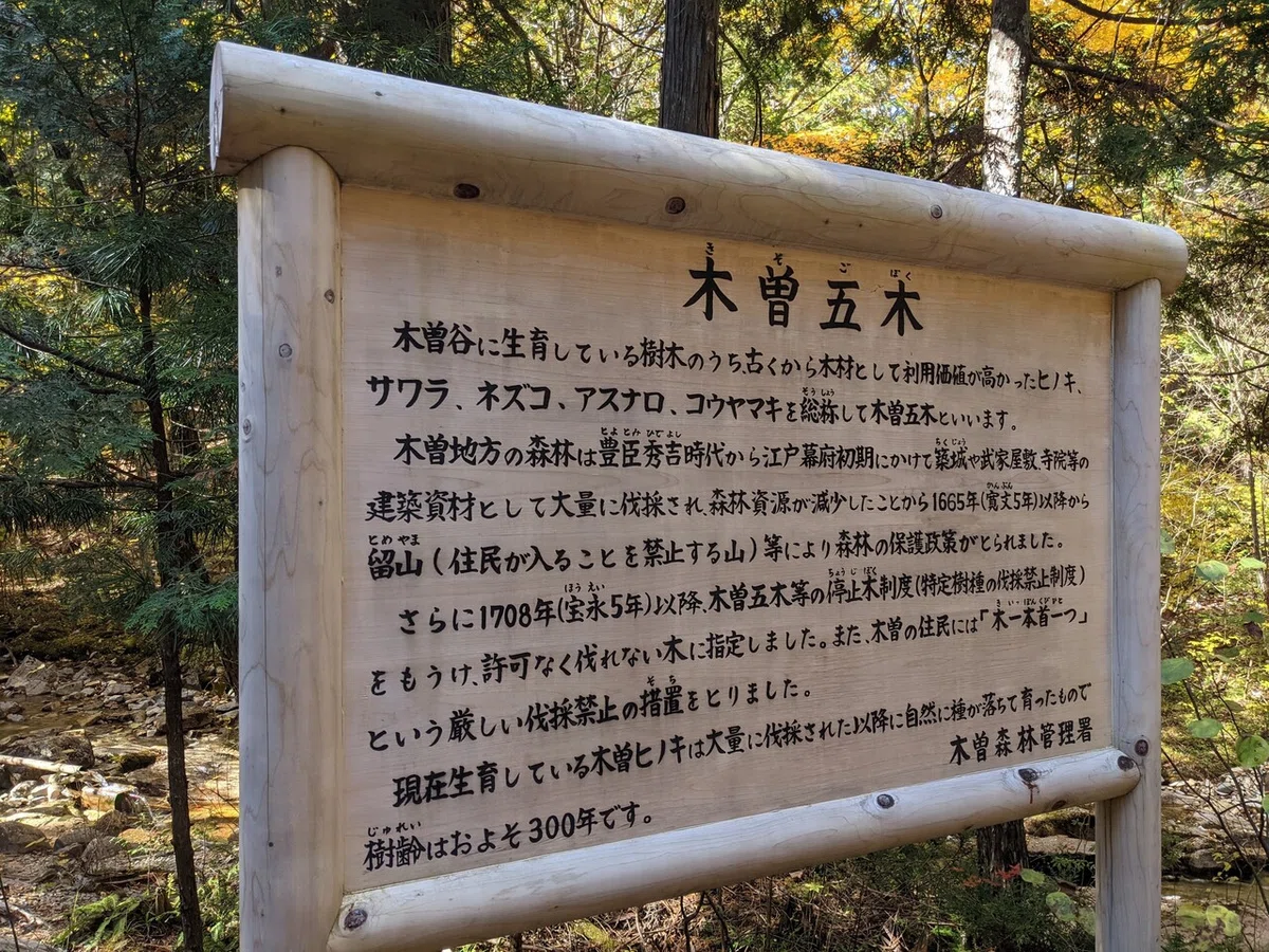 画像11