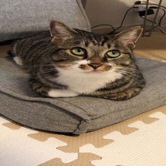 Od オーバードーズ をして死の淵を彷徨った話 精神科ナースこはく Note Od オーバードーズ をして死の淵を彷徨った話 精神科ナースこはく Note