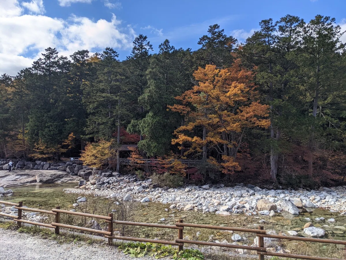 画像15