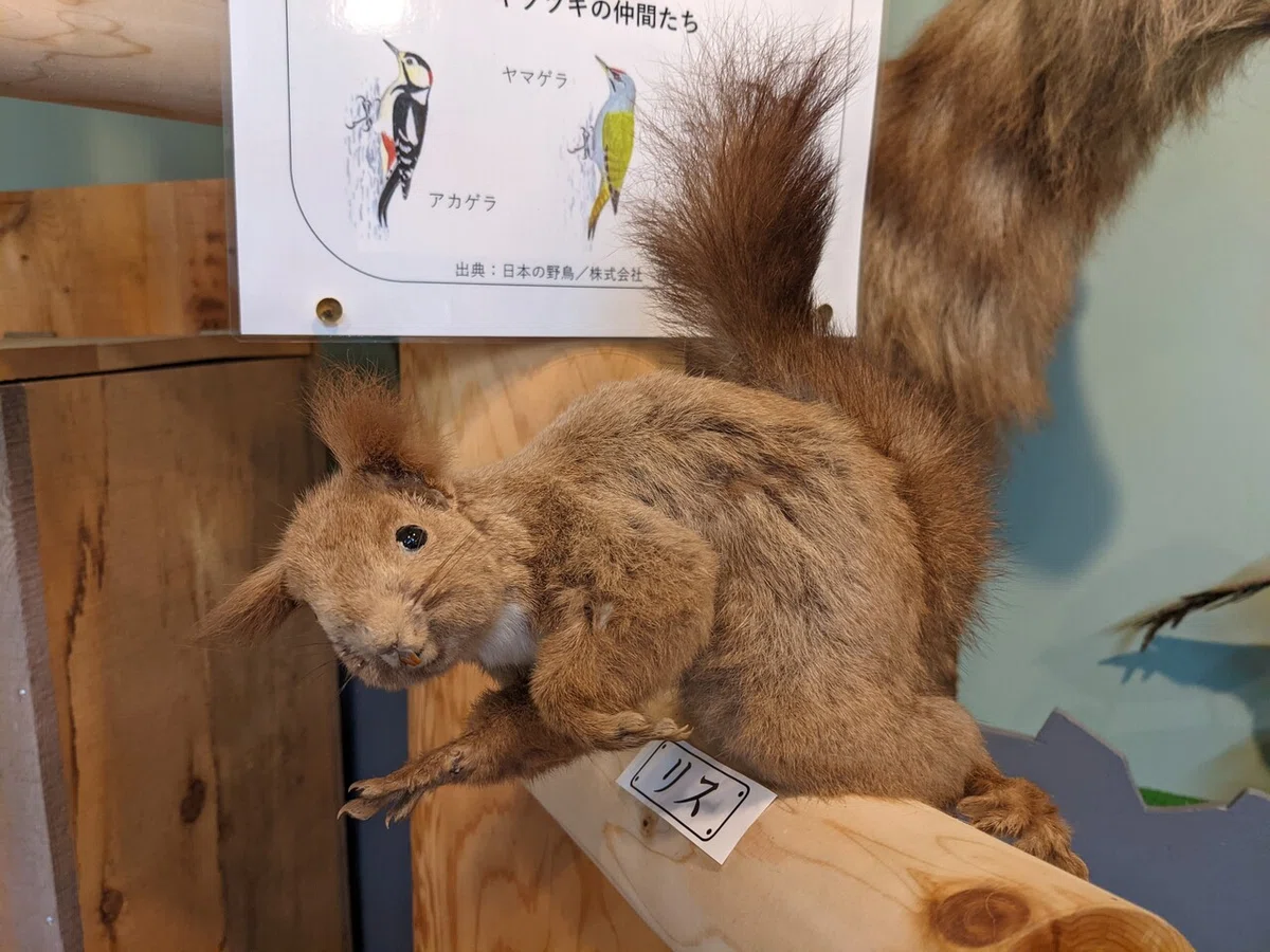 画像36