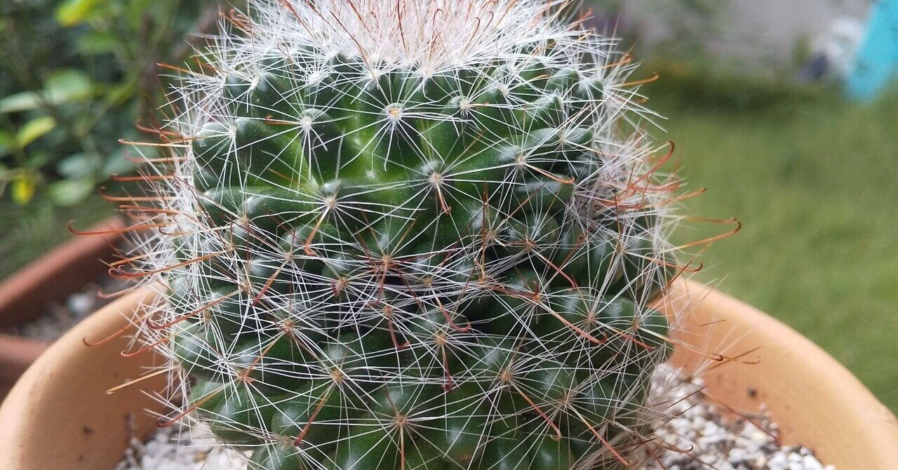 月影丸 の新着タグ記事一覧 Note つくる つながる とどける 月影丸 の新着タグ記事一覧 Note つくる つながる とどける