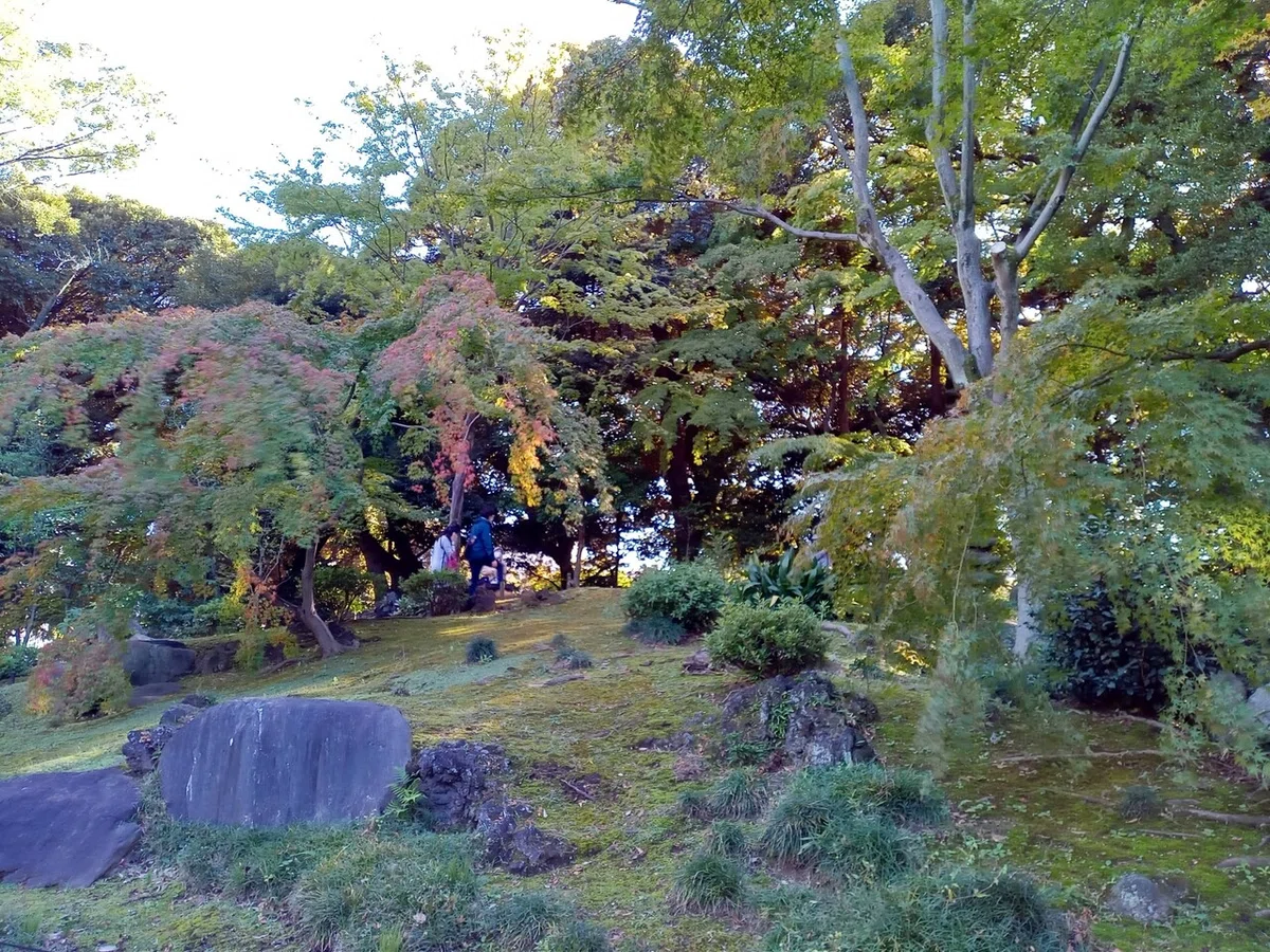 画像5