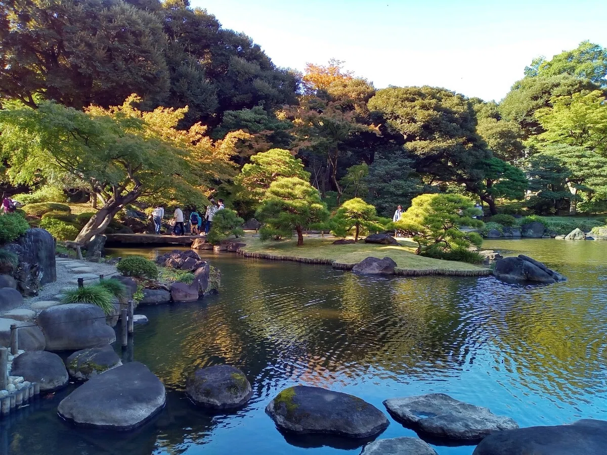 画像6