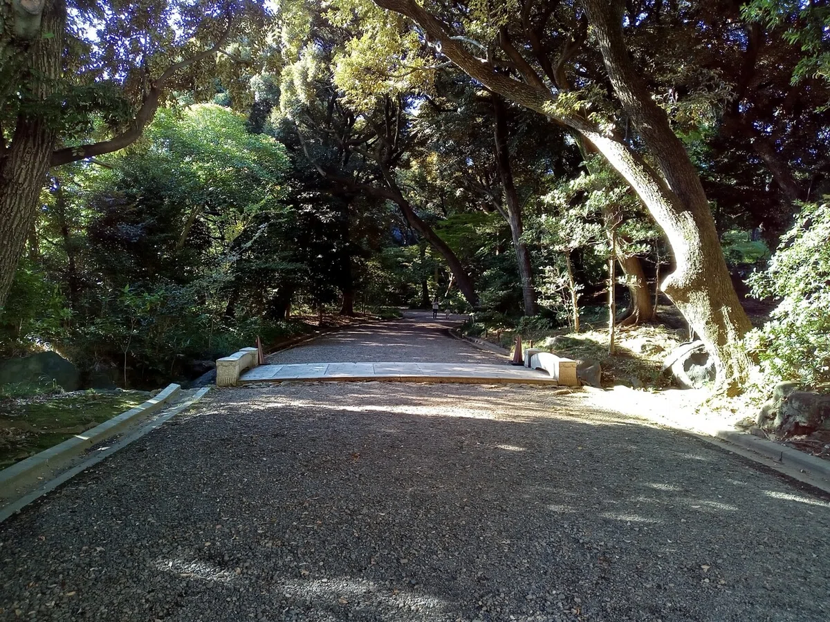 画像7
