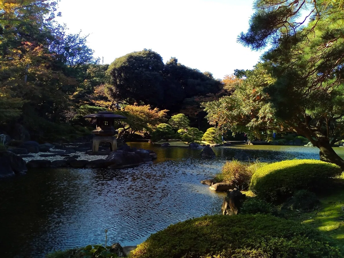 画像8