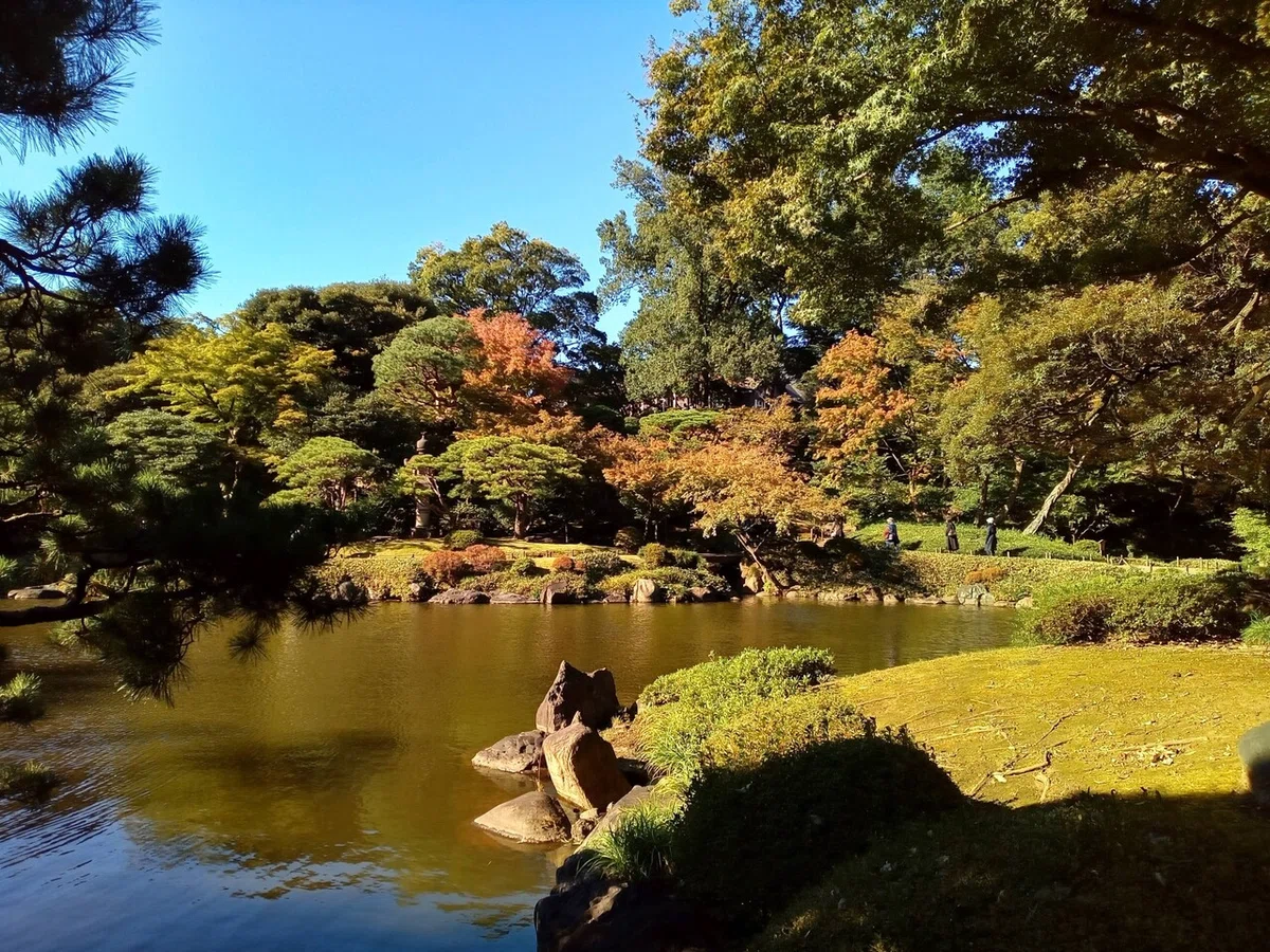 画像9