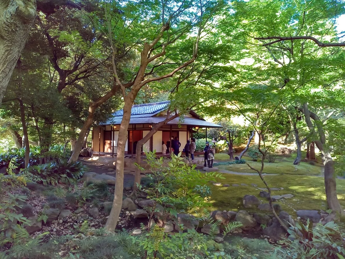 画像10