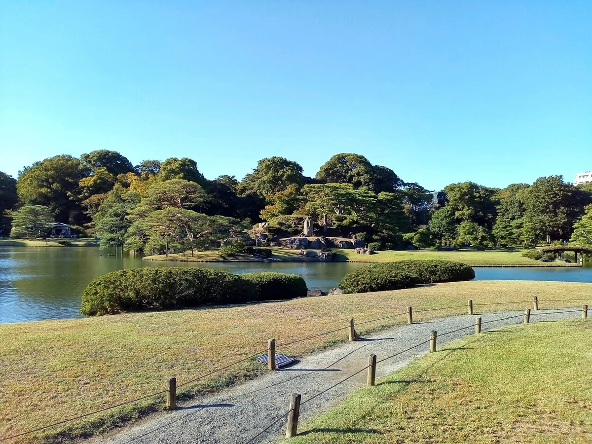 画像6