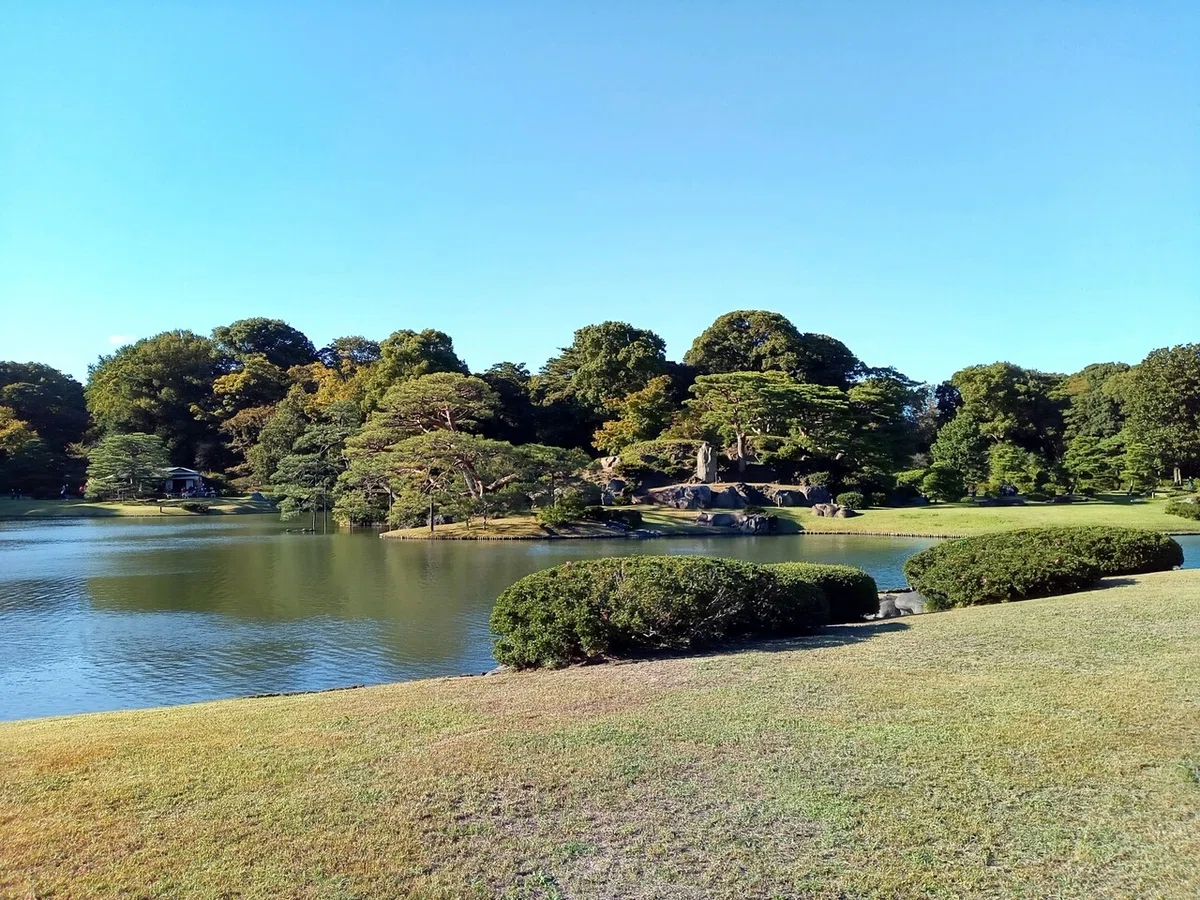 画像7