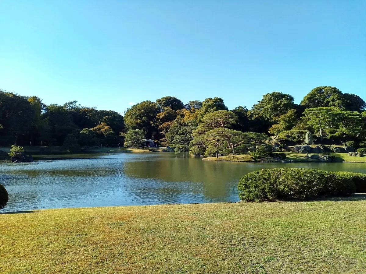 画像8