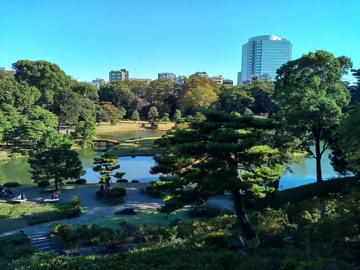 画像6