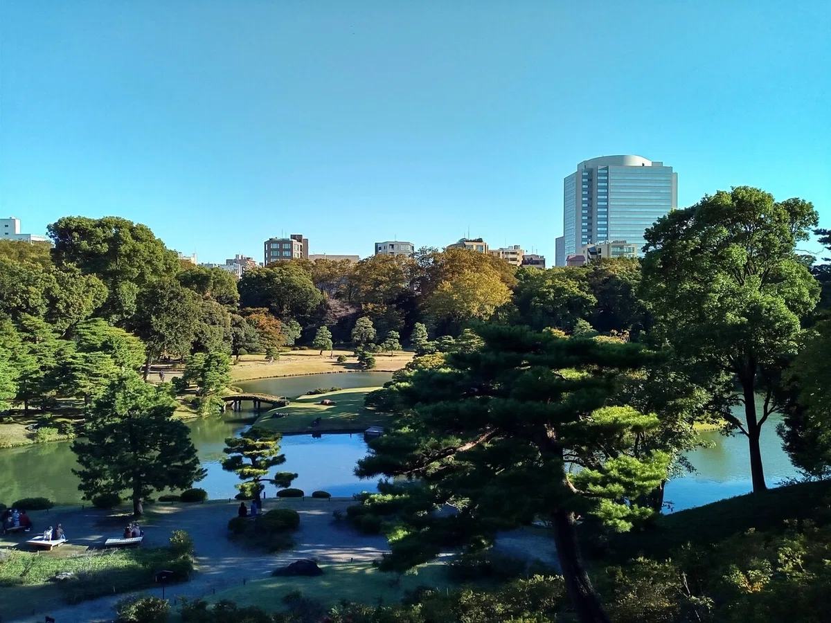 画像7