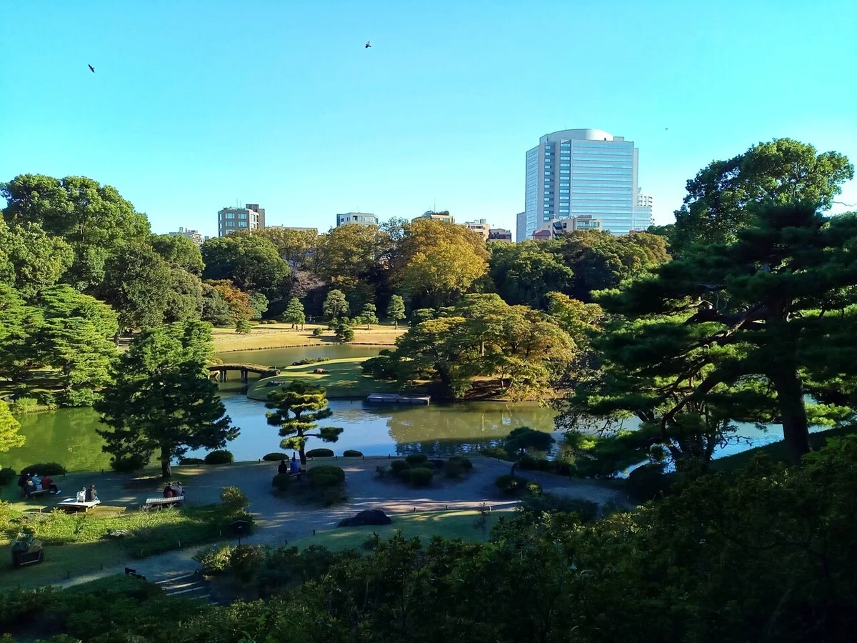 画像8