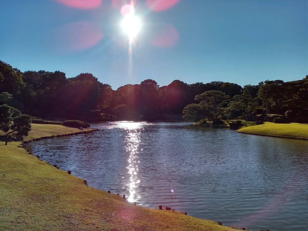 画像7