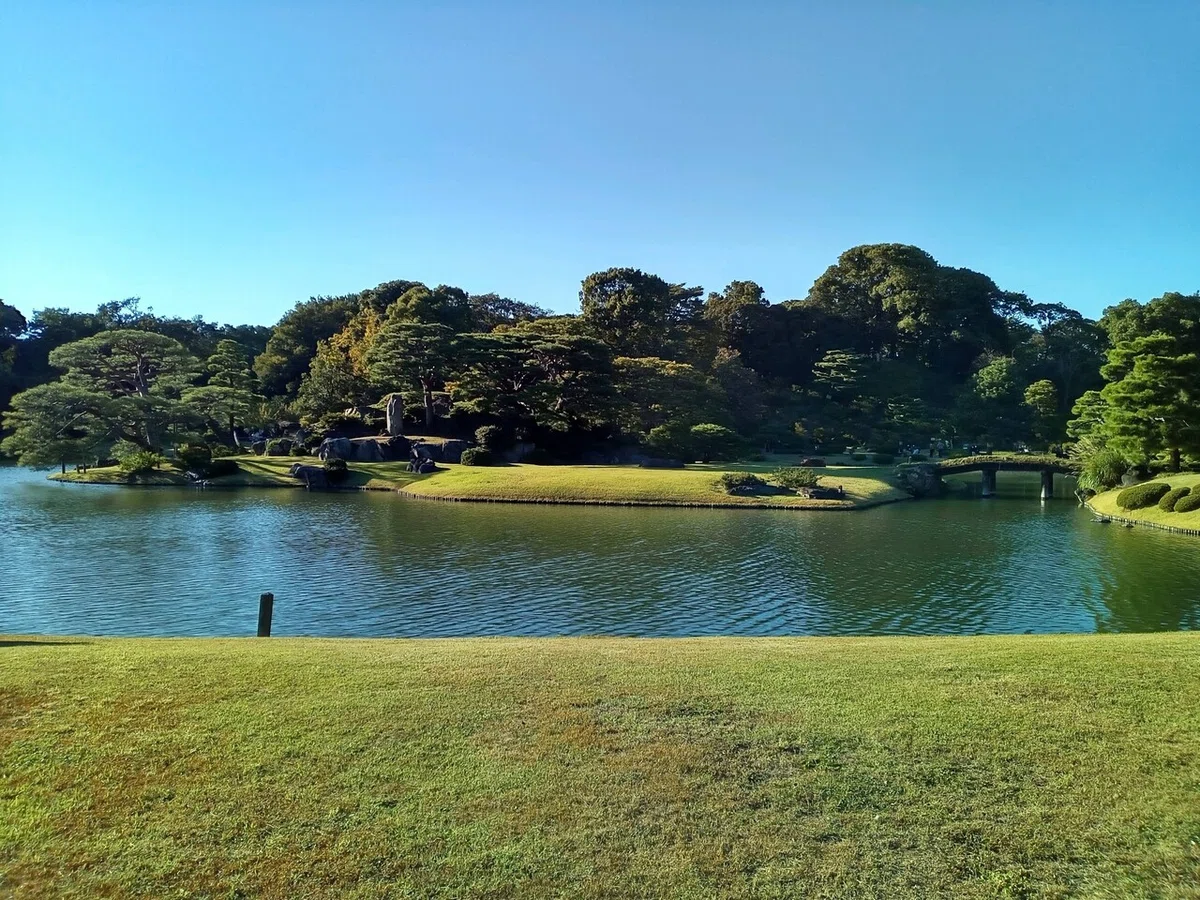 画像7