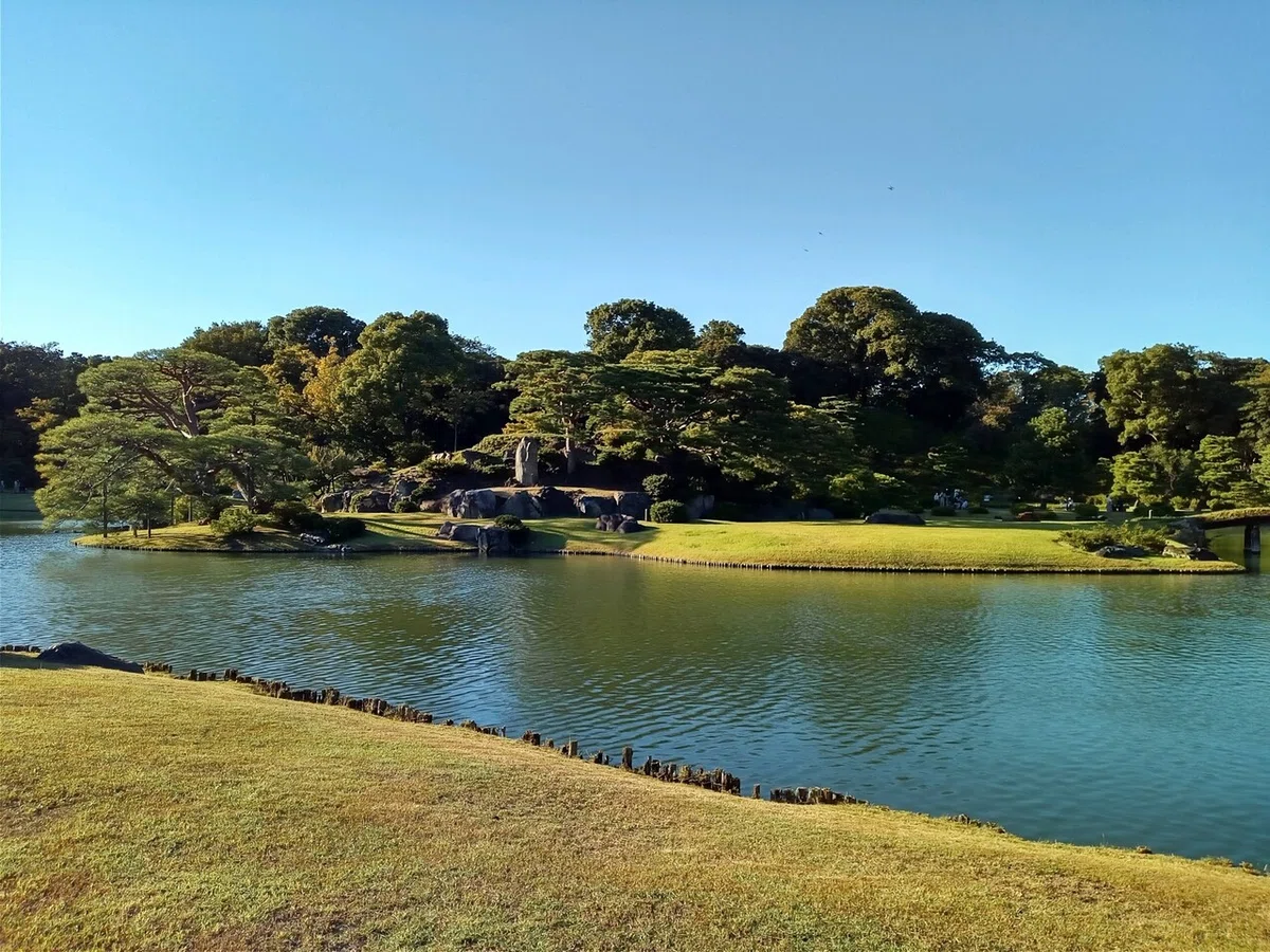 画像8