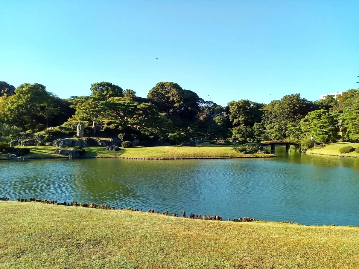 画像9