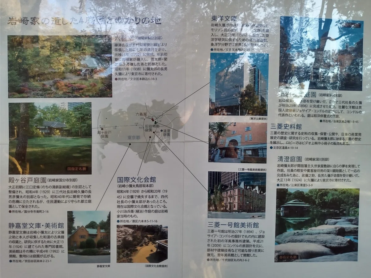 画像8